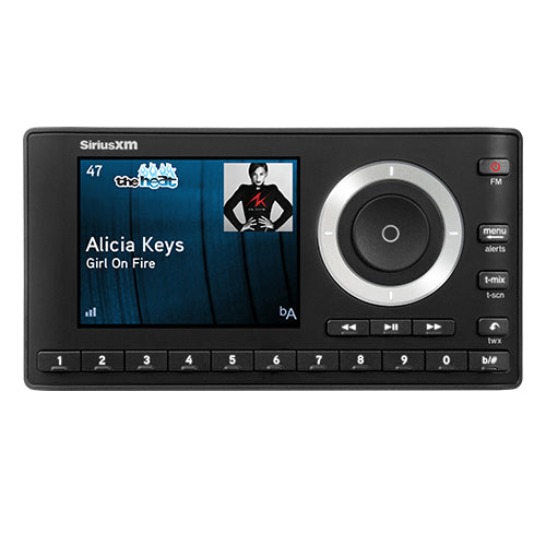 XM OnyX Plus radio with album art